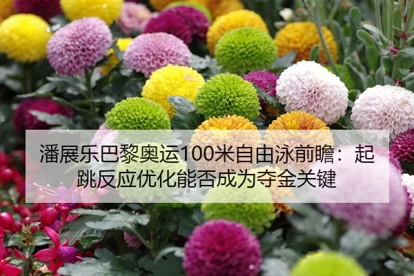 潘展乐巴黎奥运100米自由泳前瞻：起跳反应优化能否成为夺金关键