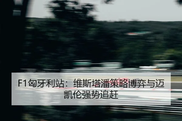xiong-ya-li-zhan-wei-si-ta-pan-ce-lve-bo-yi-yu-mai-kai-lun-qiang-shi-zhui-gan-2-543.jpg