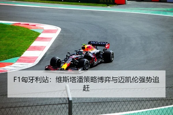 F1匈牙利站：维斯塔潘策略博弈与迈凯伦强势追赶