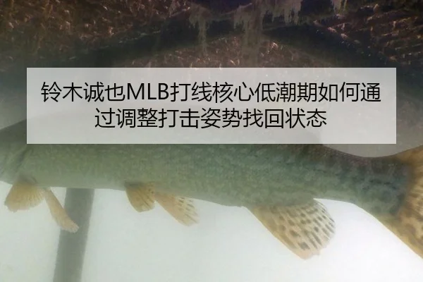 铃木诚也MLB打线核心低潮期如何通过调整打击姿势找回状态