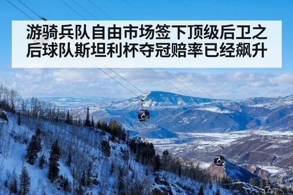 游骑兵队自由市场签下顶级后卫之后球队斯坦利杯夺冠赔率已经飙升