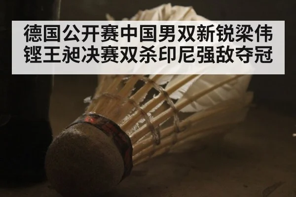 德国公开赛中国男双新锐梁伟铿王昶决赛双杀印尼强敌夺冠