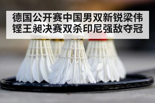 badminton smash net play