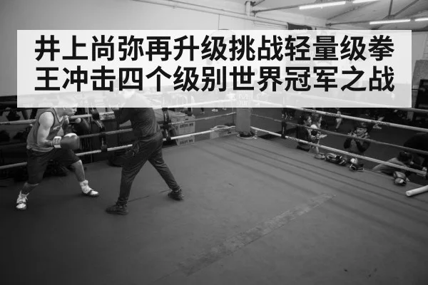boxer training gym